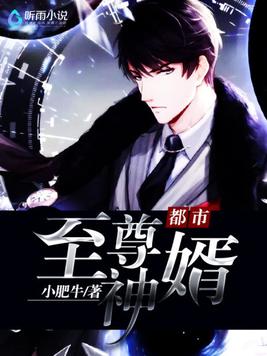都市至强狂兵小说