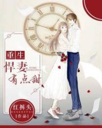 重生悍妻小说